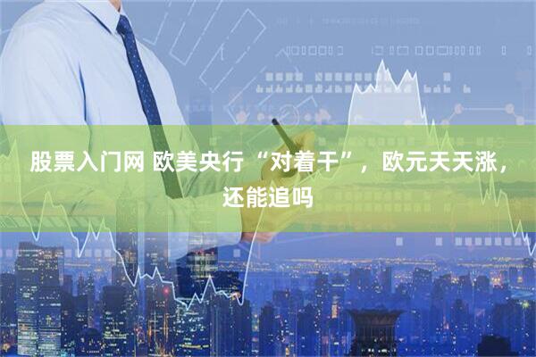 股票入门网 欧美央行 “对着干”，欧元天天涨，还能追吗