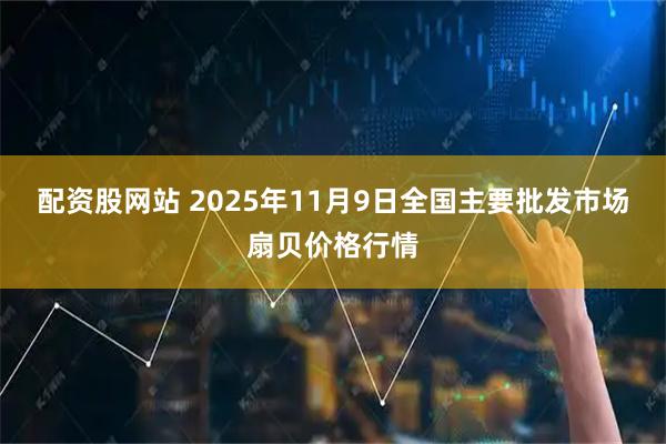 配资股网站 2025年11月9日全国主要批发市场扇贝价格行情